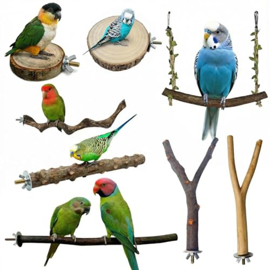 Health & Wellness Newsletter - 8PCS natural wood bird perches for