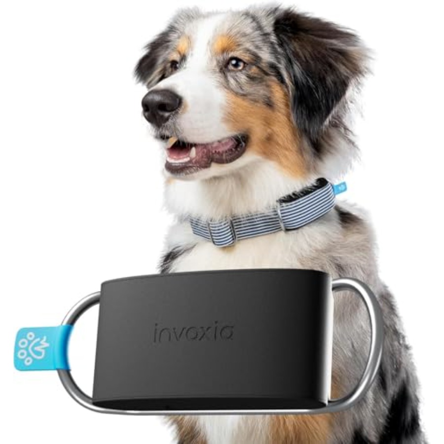 Compact Lightwght Dog Health G - Health Wellness Activities review and price