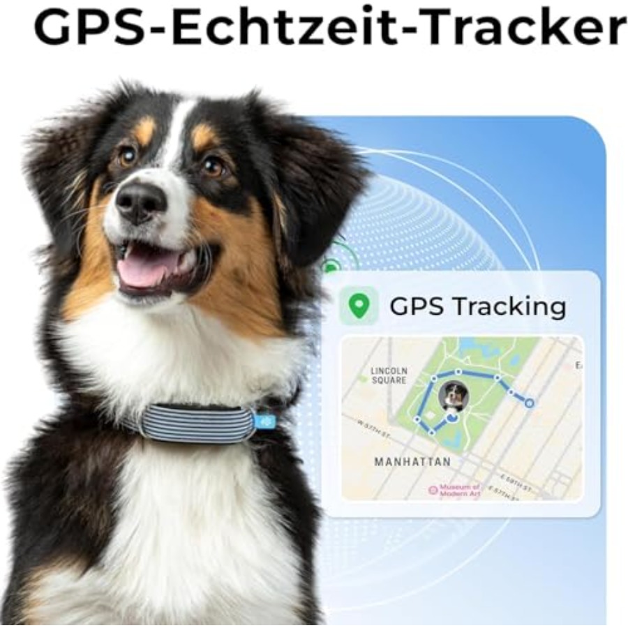 Compact Lightwght Dog Health G - Health Wellness Activities review and price