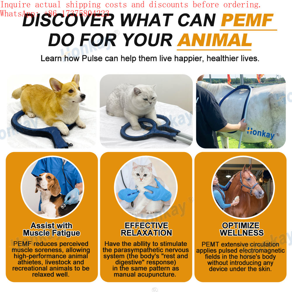 Active Life Device for Dog Bod - Health Wellness Activities review and price
