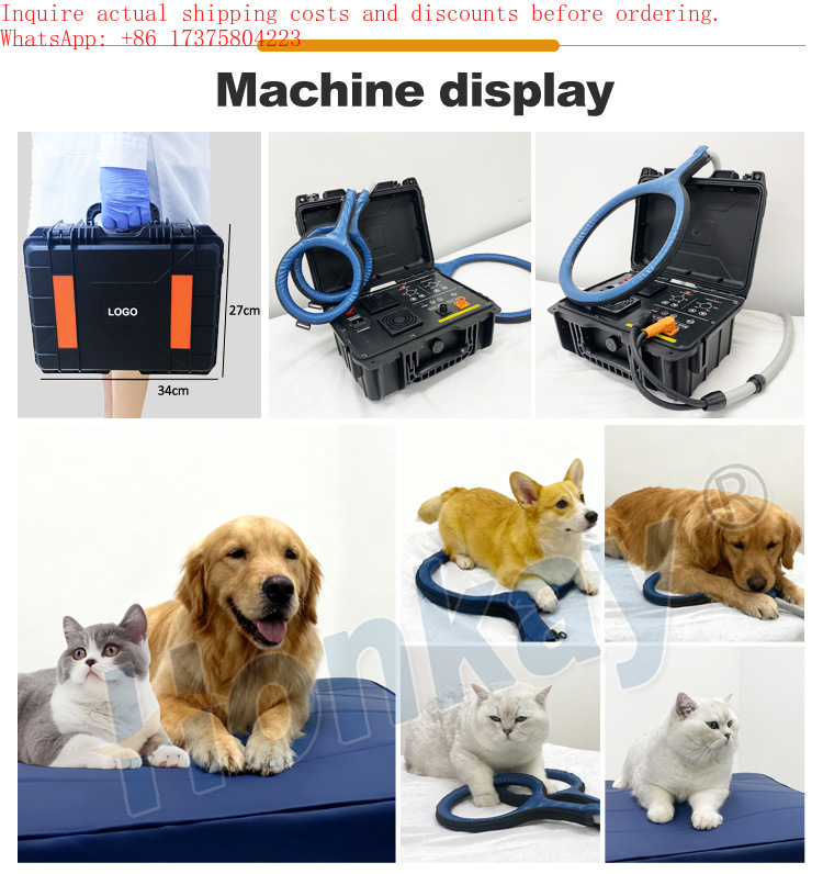 Active Life Device for Dog Bod - Health Wellness Activities review and price