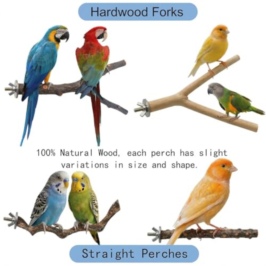 8PCS natural wood bird perches - Health & Wellness Newsletter review and price