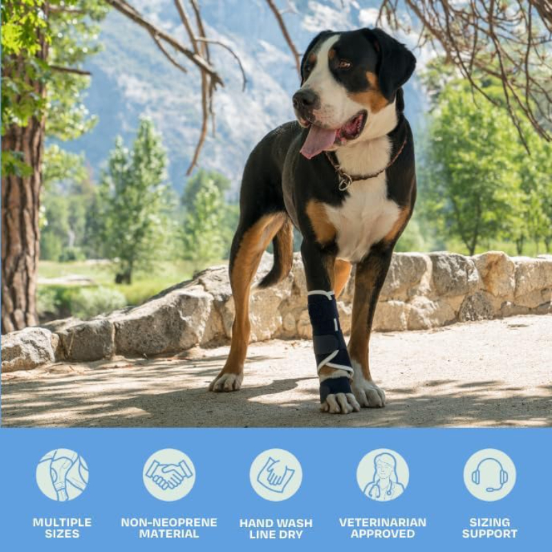 Carpal Hyperextension Dog Brac - Ankle Brace Support review and price